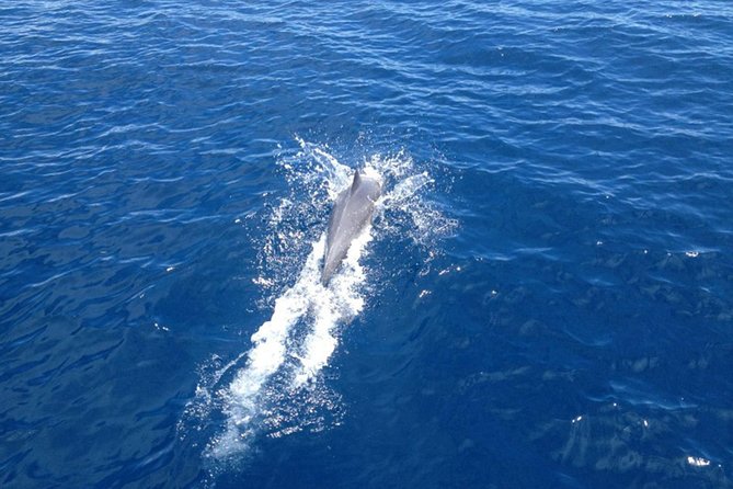 2-Day Halkidiki Sailing Cruise - Sleeping aboard instead of returning to shore
