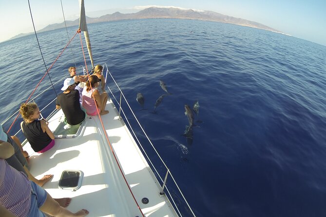 5,5 hours Private Sailing Trips from Heraklion to Island of Dia - A five-and-a-half-hour rhythm