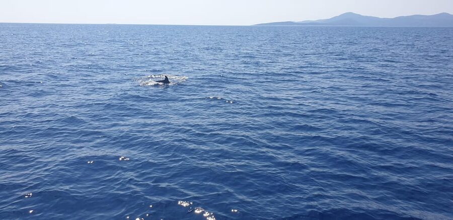 Athens: Riviera Catamaran Tour with Fresh Meal and Drinks - Asteras Bay near Vouliagmeni: the first swim