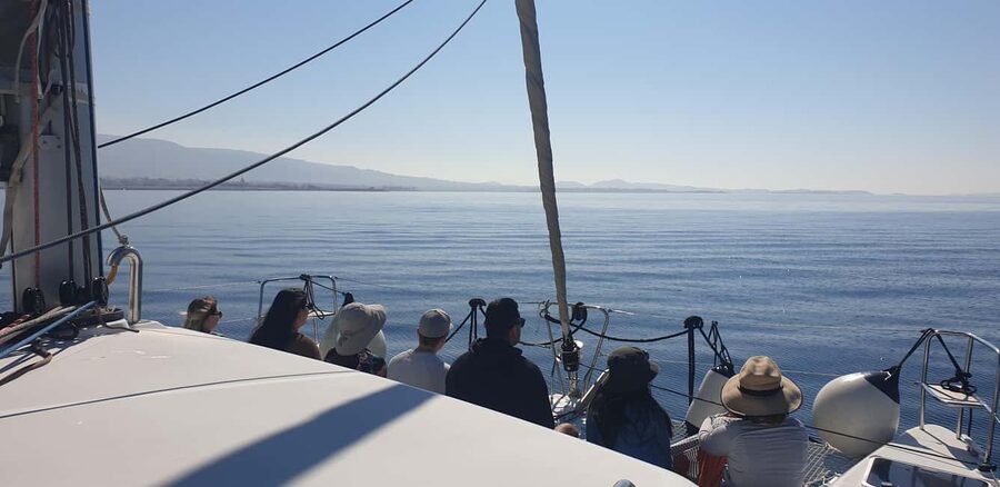 Athens Riviera Private Catamaran Cruise with Meal and Drinks - A Fresh Meal Served at Sea