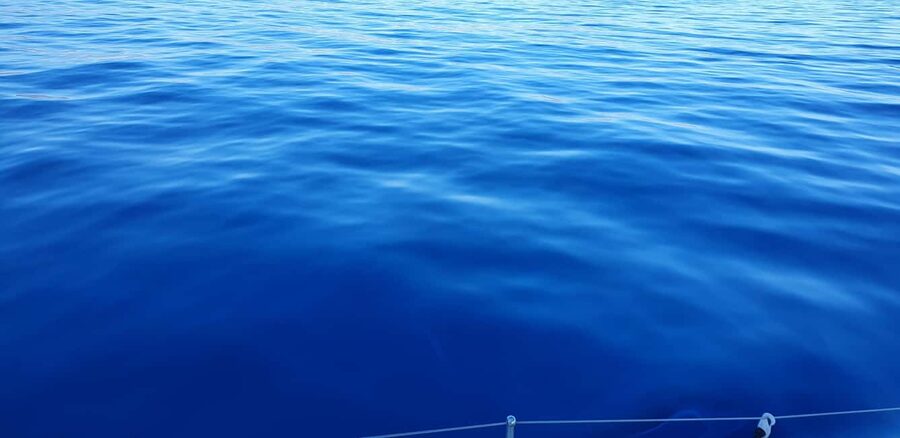 Athens Riviera Private Catamaran Cruise with Meal and Drinks - Who Will Enjoy This Cruise Most