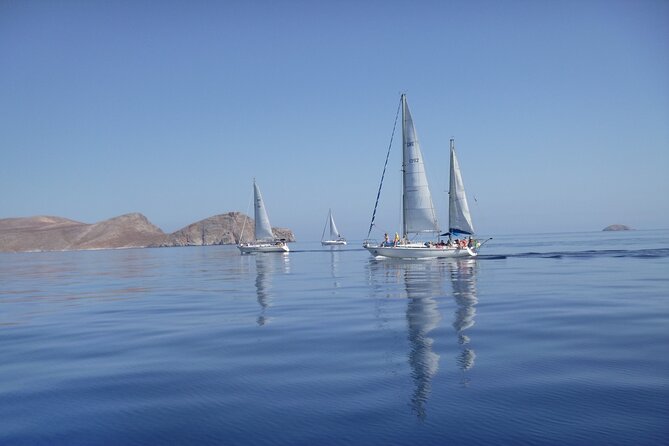 Dia island : Small Group Sailing Trip to Dia Island with Lunch - Agios Georgios or Panagia: the main swimming stop
