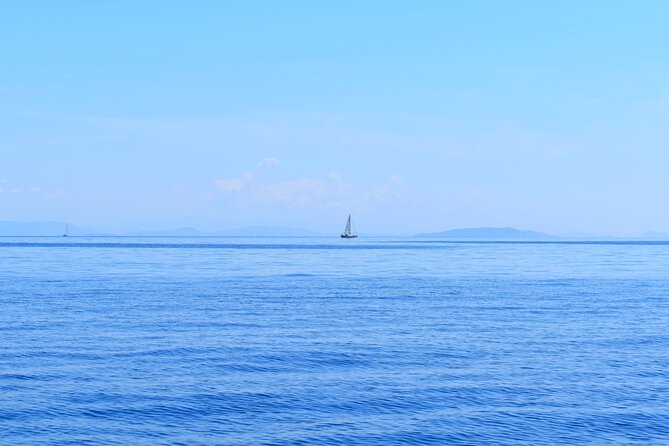 From Agia Efimia: All Inclusive Sailing Day Tour to Ithaca - Sailing From Agia Efimia at 9 a.m.