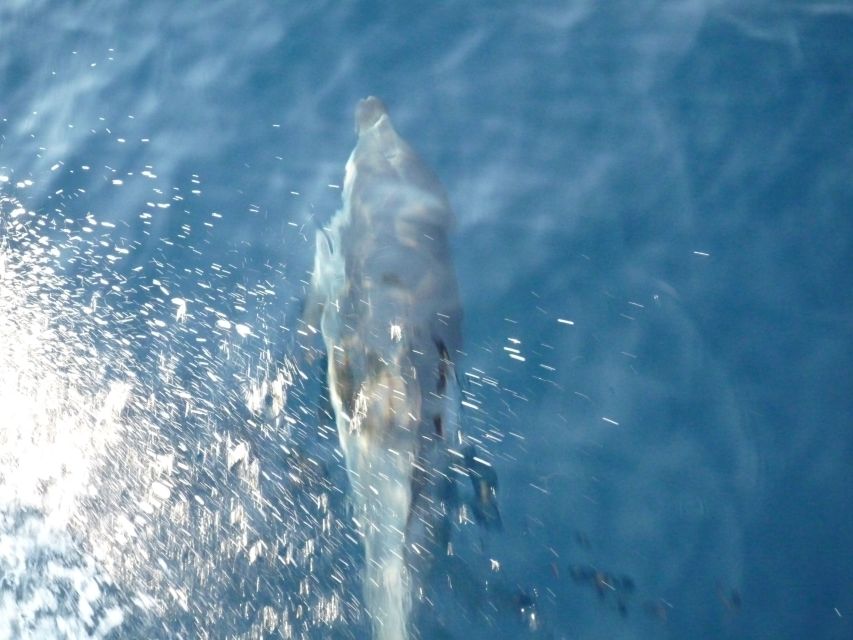 From Paros: Private Sailing Cruise with Lunch and Snorkeling - Should you book the Lady K cruise?