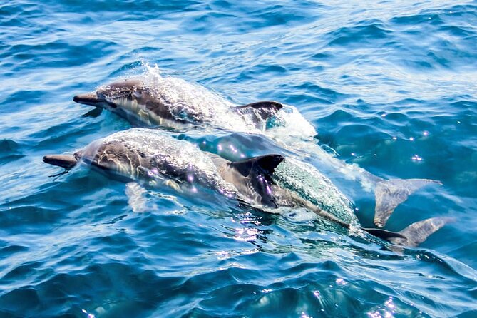 Ierapetra Chrissi Island Luxury Yacht Cruise with Meal - What the $180.24 price really covers