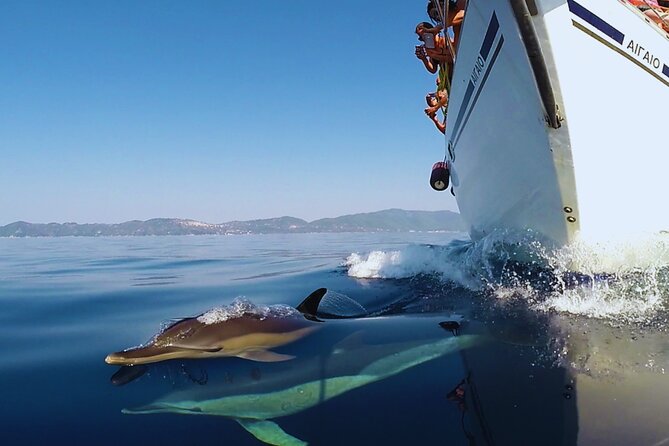 Kos: Small Group Full-Day Sailing with Meal, Drinks, & Swim - What the Sailing Feels Like in Different Weather