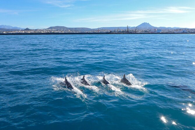 Luxury escape Sailing, shared from Hersonissos or Heraklion port - Virgin Mary’s Bay: the first long swim