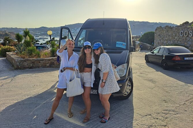 Mykonos Sail Cruise to Rhenia, Guided Tour of Delos, Lunch&Drinks - Who will enjoy this cruise most?