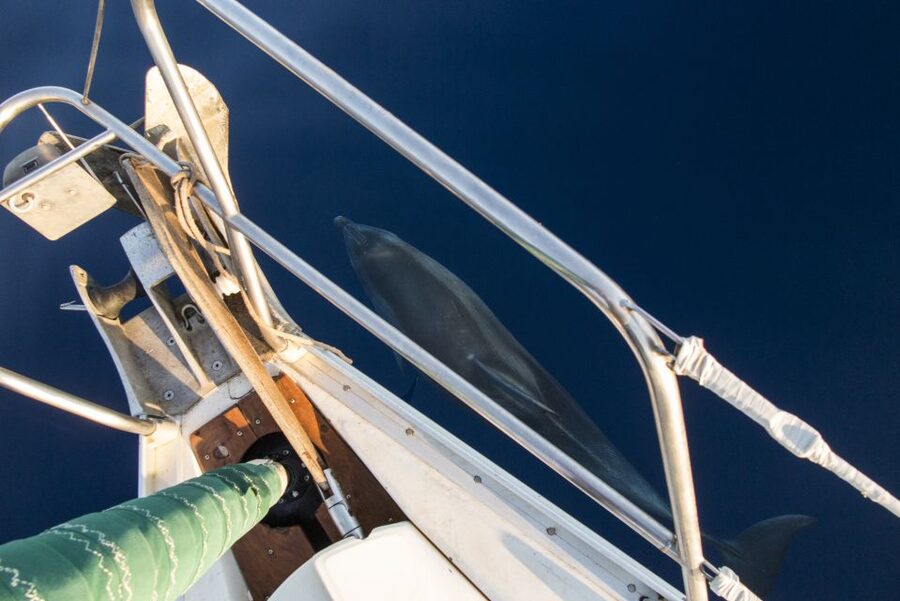 Naxos: Full-Day Small Cyclades Sailing Cruise - Stop two: the best chance for sailing and snorkeling