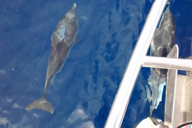 private sailing cruises - Voidokilia Beach, lagoon, cave, and castle