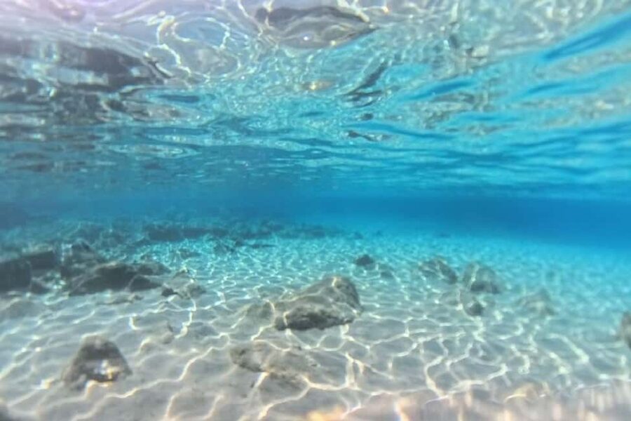 Private Sailing Trip from Heraklion to Dia with meal & SUP - Who will enjoy this sailing trip most