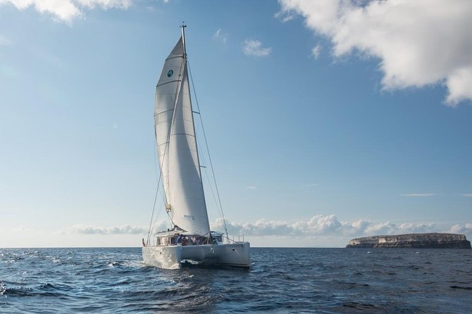 Santorini Caldera Sailing Tour with BBQ Lunch and Drinks - Day Tour or Sunset Tour?