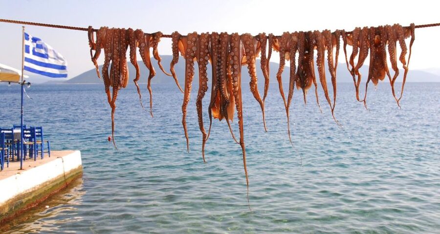 Volos: Pagasetic Gulf Full-Day Sailboat Experience - Swim stops, snorkeling, and paddleboarding
